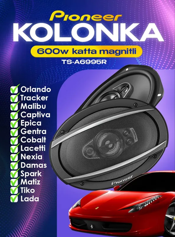 Kalonka pioneer 600 W katta magnitli TS A6995R