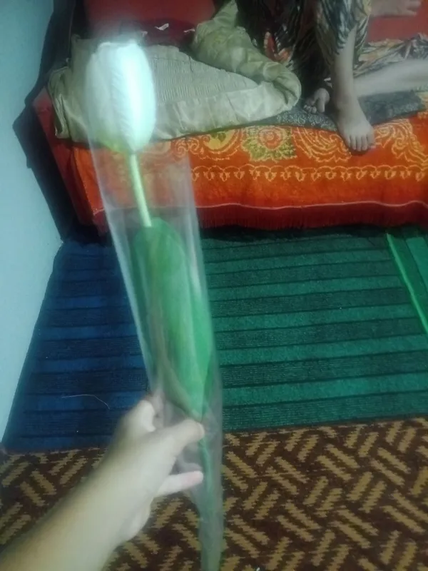 15 soʻm chiroyli gul