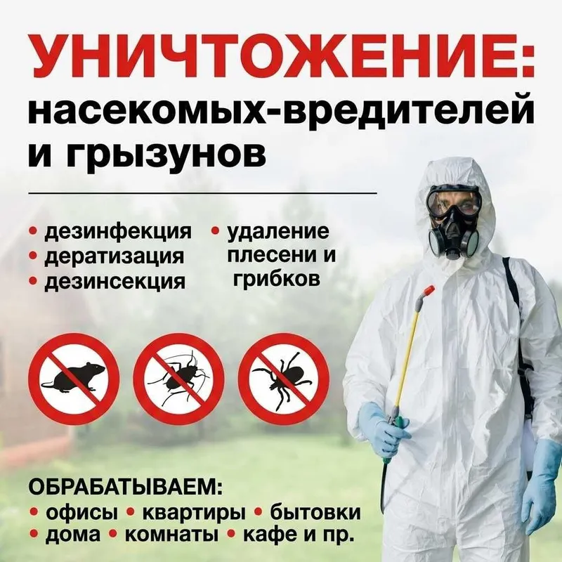 Dezinfeksiya xizmati | Дезинфекция 24/7 | Клопы тараканы | Выезд 1 час 5 Dezinfeksiya xizmati | Дезинфекция 24/7 | Клопы тараканы | Выезд 1 час 5