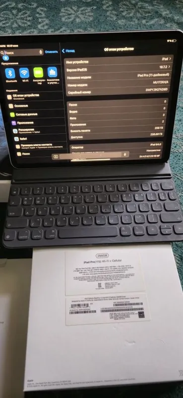 Ipad pro 11 wi-fi + cellular 256GB — фото 1