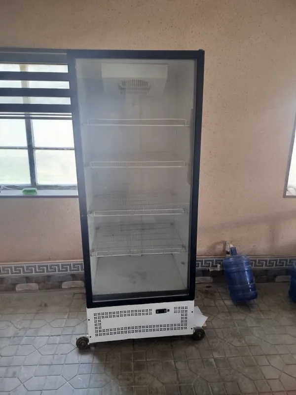 Vitrina muzlatgich rassiski xolati ideal