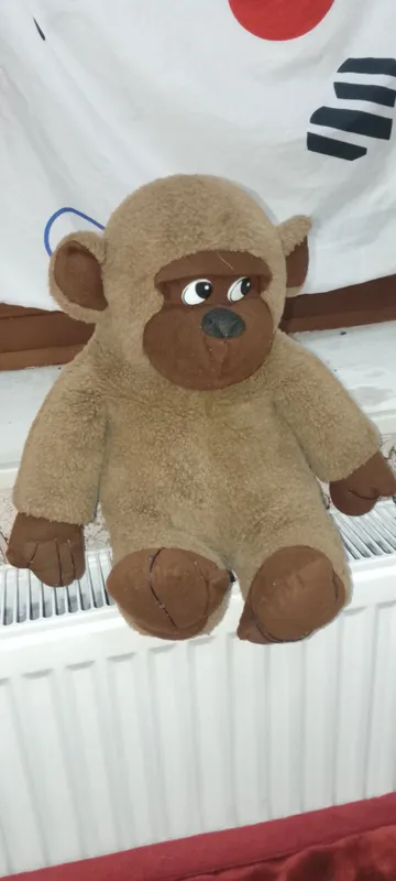 Maymun gariglar  yangi   holati zoʻr