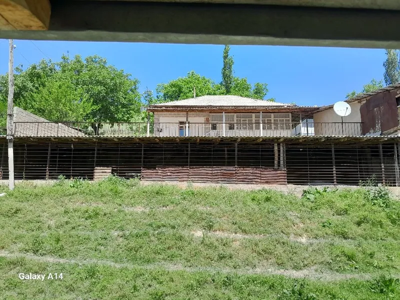 Галавасой паселкаси Тогизкол кучаси 8 чи уй котта ховли уй 24 сотик — фото 5