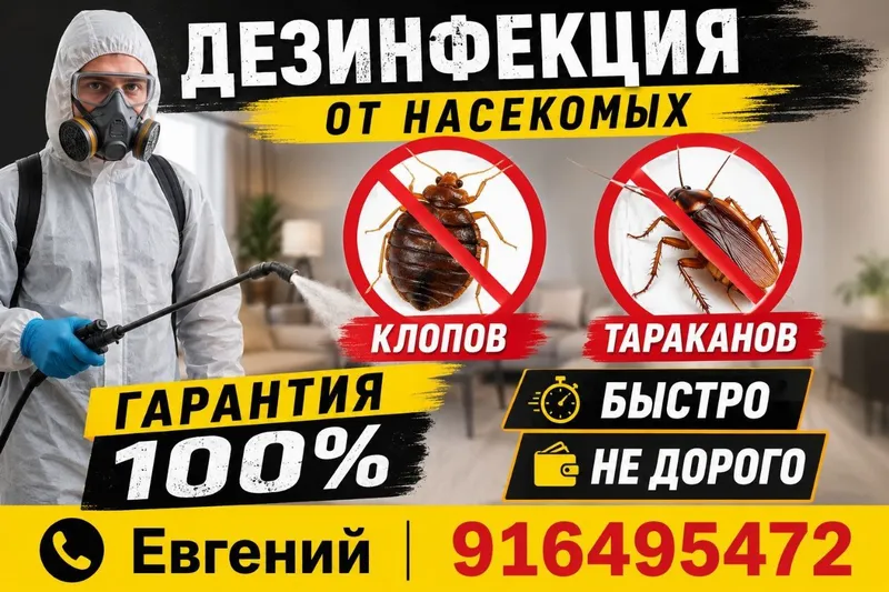 Предлагаем дизъинфекцию по насекомым.