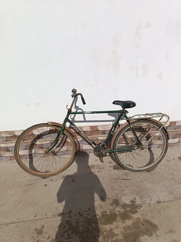 Velosiped kattalar uchun