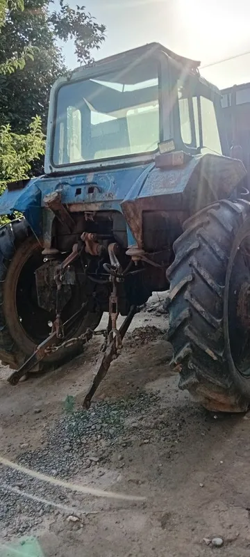 Kachkani bolonlar 2 tasi bor yahshi holda setkalari ham bor 1 Kachkani bolonlar 2 tasi bor yahshi holda setkalari ham bor 1