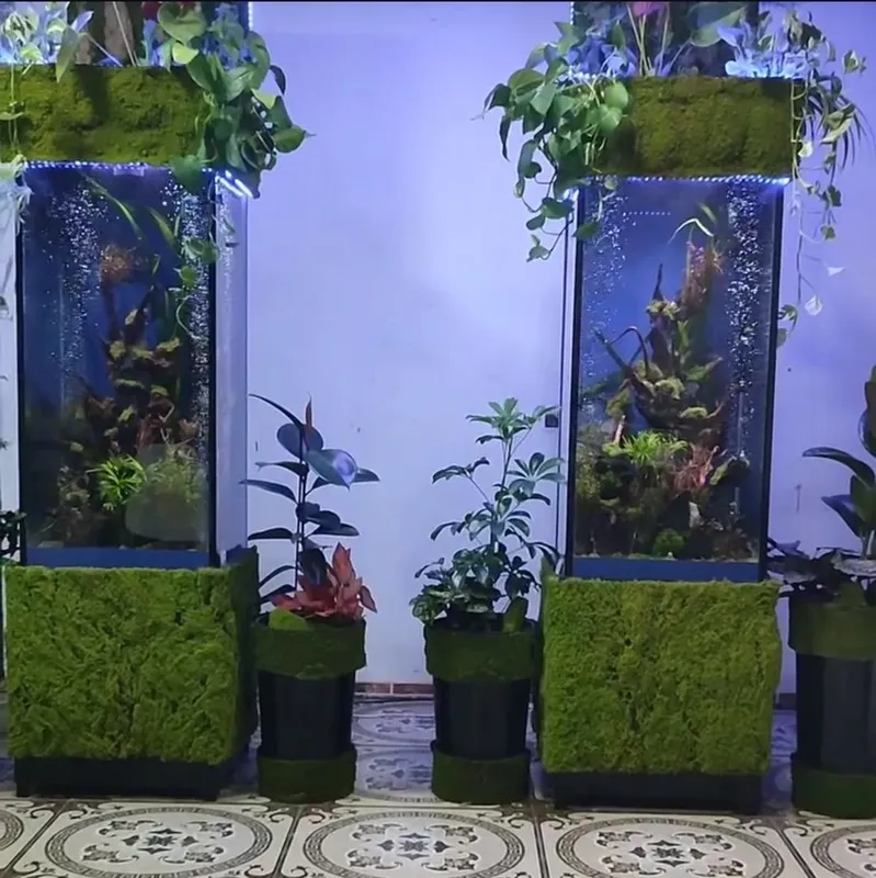 В продаже Аквариум Колонна — фото 3