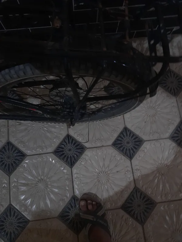 velosiped 6 velosiped 6