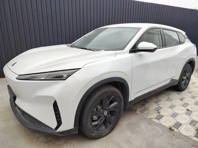 DONGFENG sky ev 01