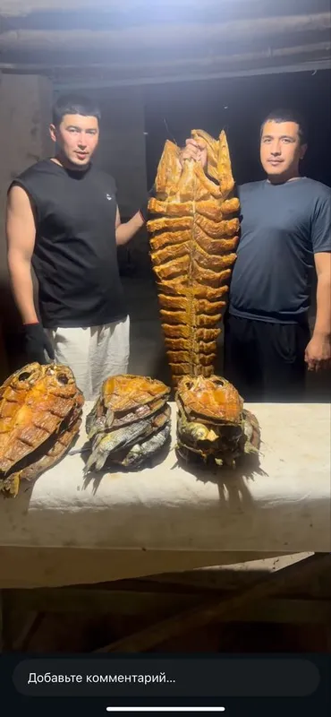 Копчённый балулар 2 Копчённый балулар 2