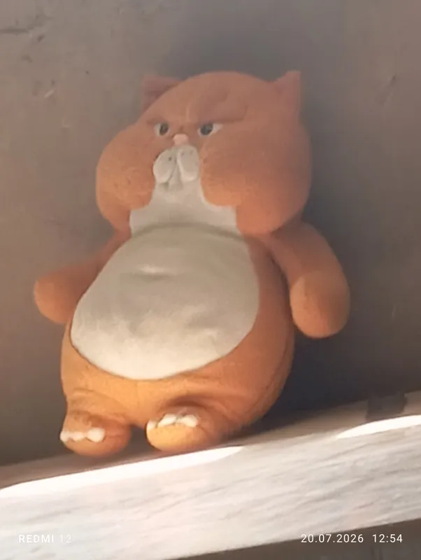 o'yinchoq o'yinchoq