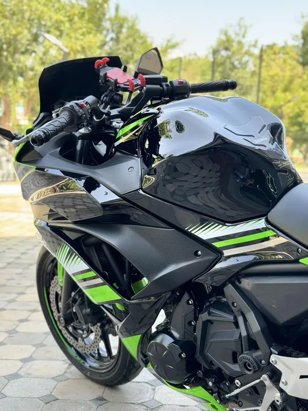 Kawasaki arginal 2