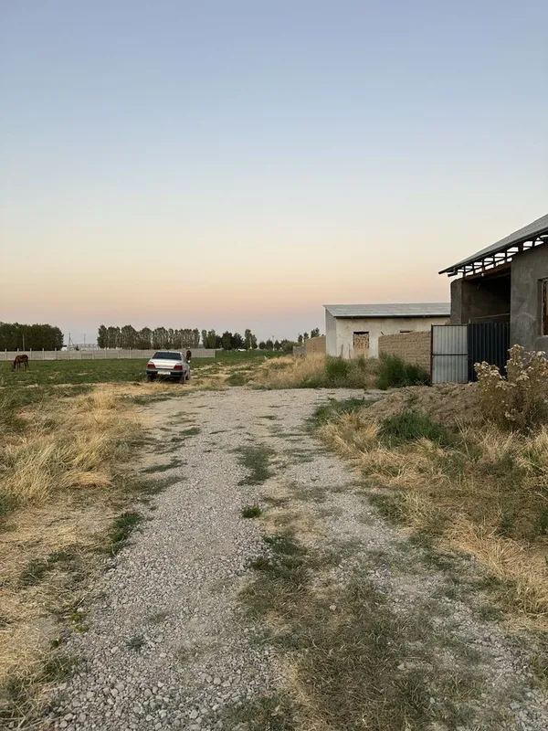 Аллалалалаллдада — фото 2