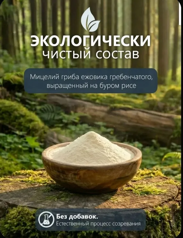 Ежовик гребенчатый мицелий, 100 грамм, порошок — фото 2