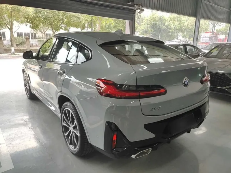 BMW X4 xDrive 30i M Sport Package — фото 2