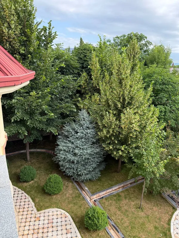 дача — фото 6