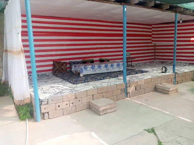 SIJJAKDA DACHA uchun qulay yer sotuvda srochna kilishiladi 2 SIJJAKDA DACHA uchun qulay yer sotuvda srochna kilishiladi 2