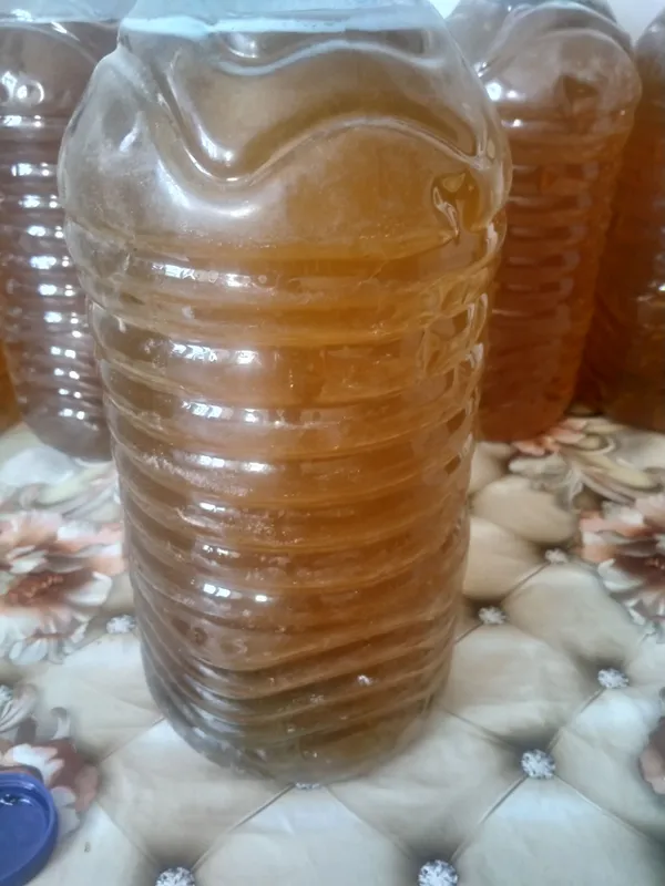 tozza asal bor 1 tozza asal bor 1