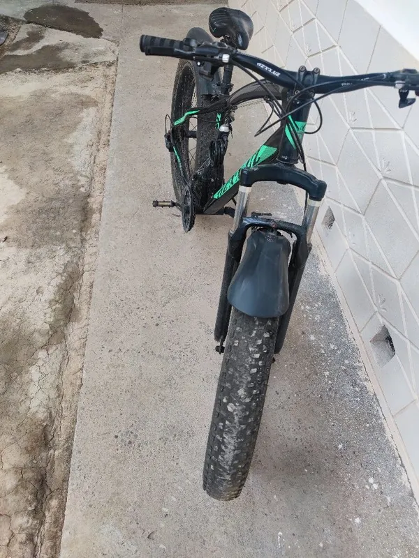 Kotta razmerli velik. 26 2