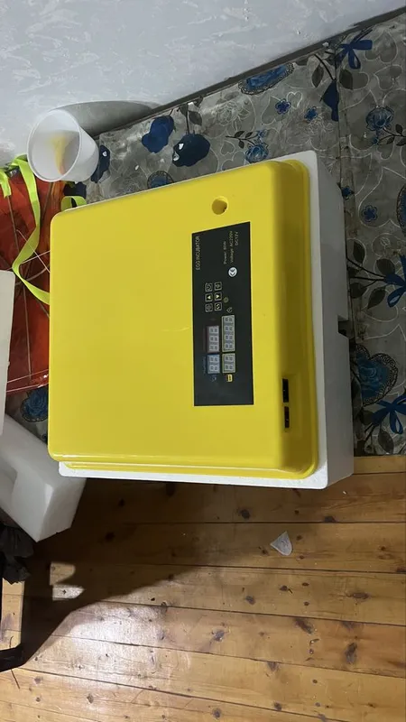 Inkubator 36 tuxum uchun 1