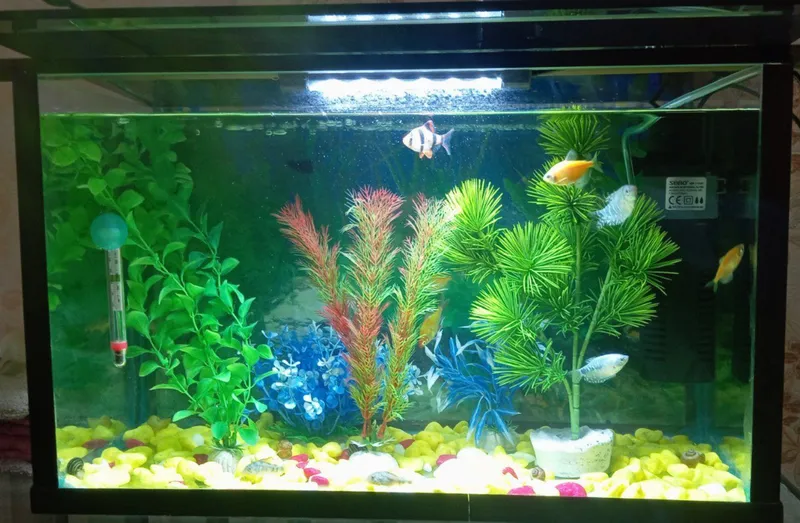 Аквариум 35-100 л / akvarium 35-100 l