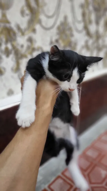 Barbie porno Erkaklarni hojatxona sifatida ishlatayotgan qizlar video