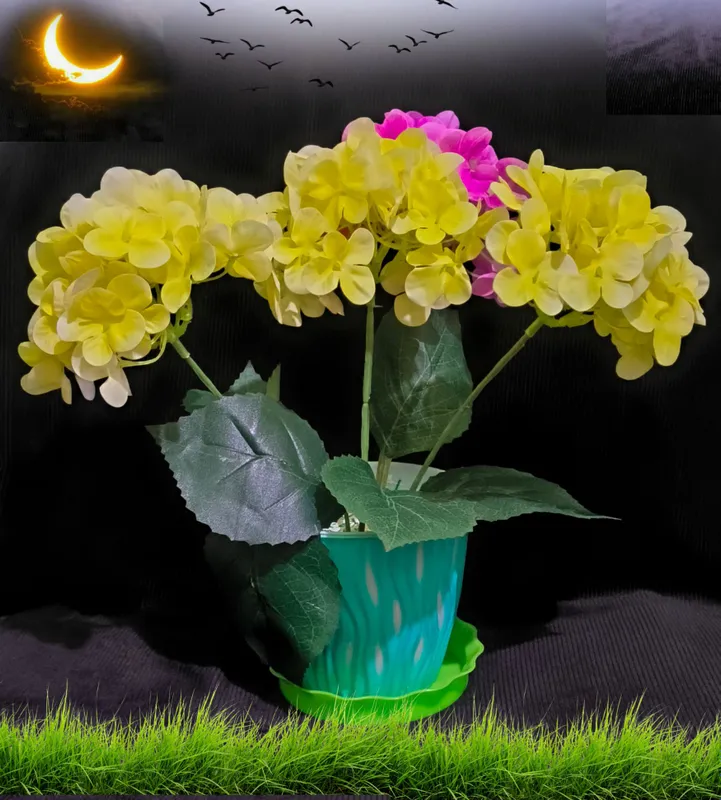 SUNIY GULLAR 2 SUNIY GULLAR 2