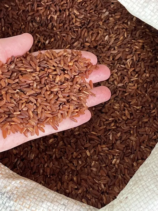 Продукты гуруч андижон