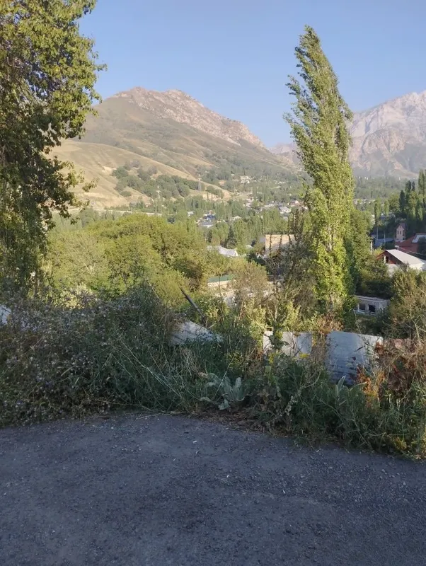 Polga stiajka, suvoq, beton ishlari, quti Polga stiajka, suvoq, beton ishlari, quti