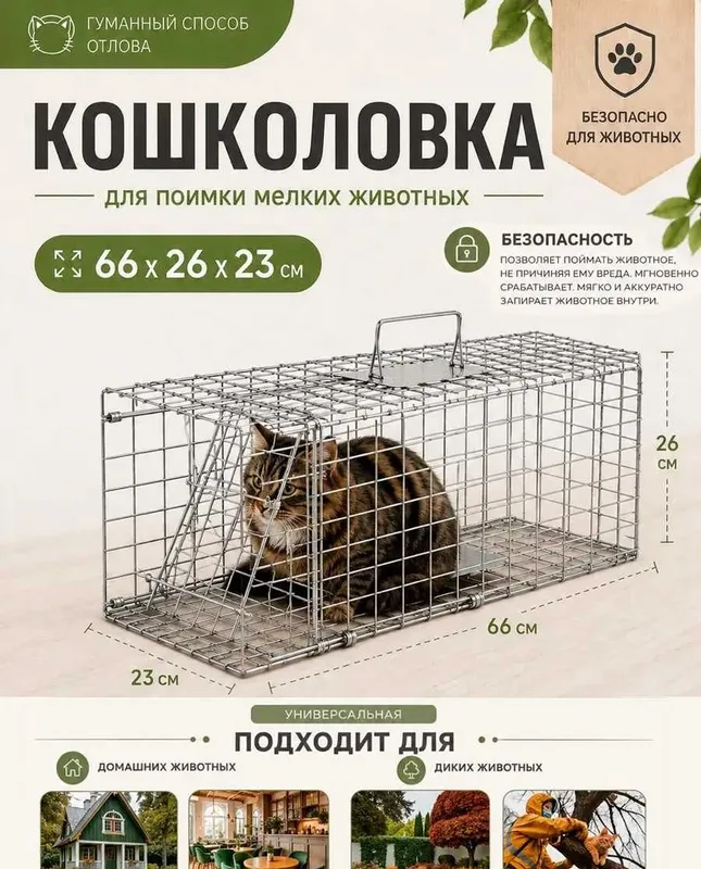 Аренда средней кошколовки — гуманная ловушка для кошек | Ташкент 2