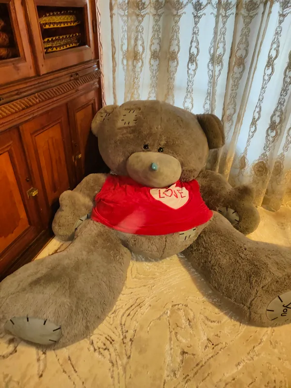 teddy ayiq sotiladi 2 metr xolati yangi 1 teddy ayiq sotiladi 2 metr xolati yangi 1