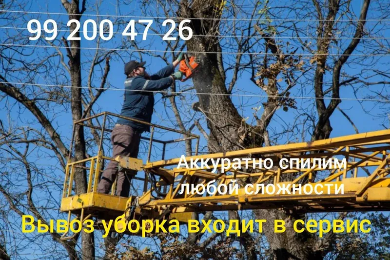 Спил обрезка грамотно обсалютно любой сложности — фото 3