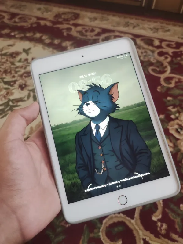 Ipad Mini 5 64 1