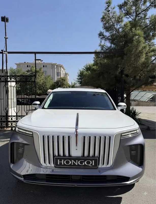 Hongqi E-HS9 premium 1 Hongqi E-HS9 premium 1