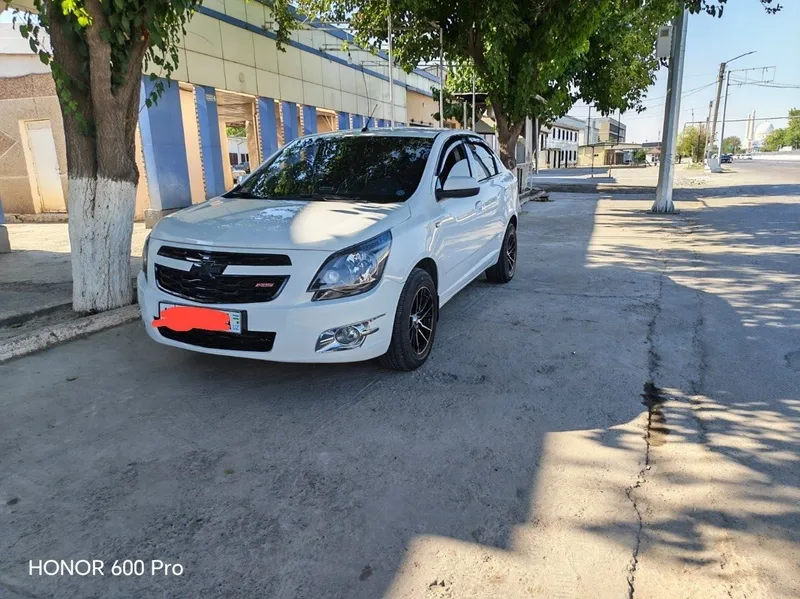 10000 y.e. kami bor Cobalt 1