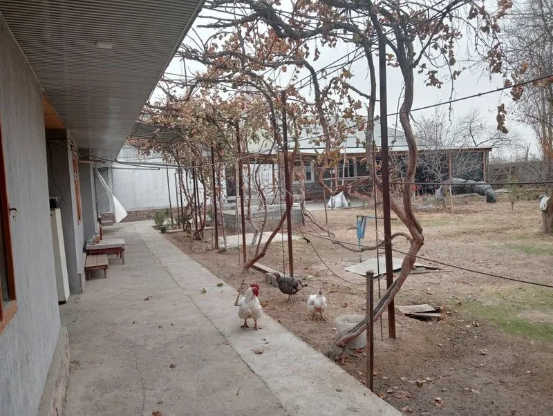 Uy sotiladi 1 sotix uchun 15000$ — фото 4