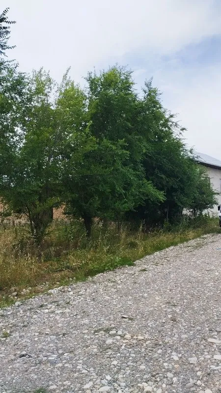 Uchastka sotiladi 2
