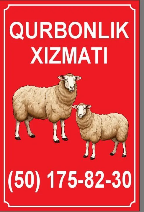 Qurbonlik uchun qoylar bor Qurbonlik uchun qoylar bor