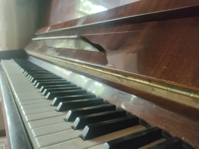Pianina "Ласточка" — фото 3