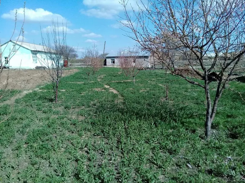 Жой сотилади, бу́линадиган. Нархи келишилади. — фото 3