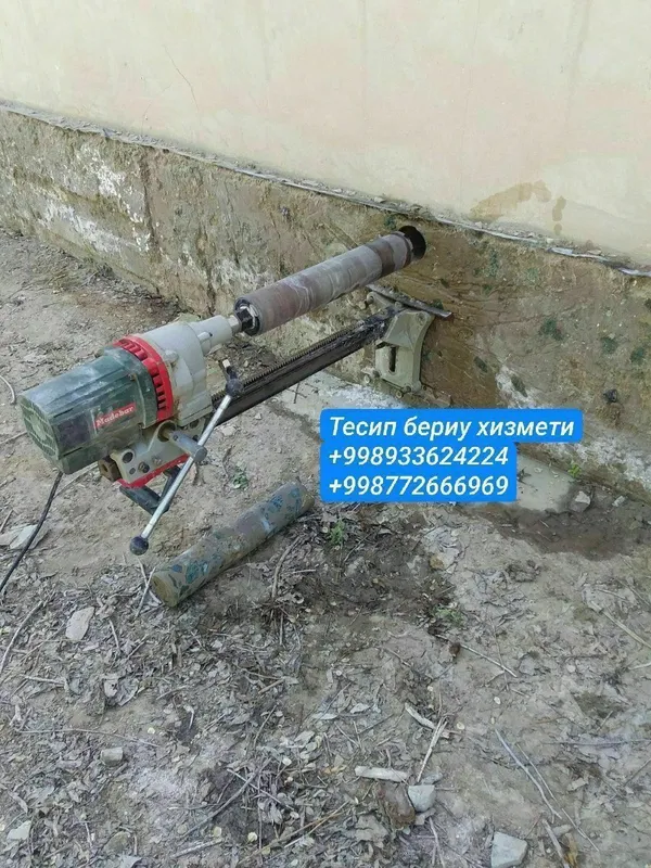 Тесип бериу хизмети