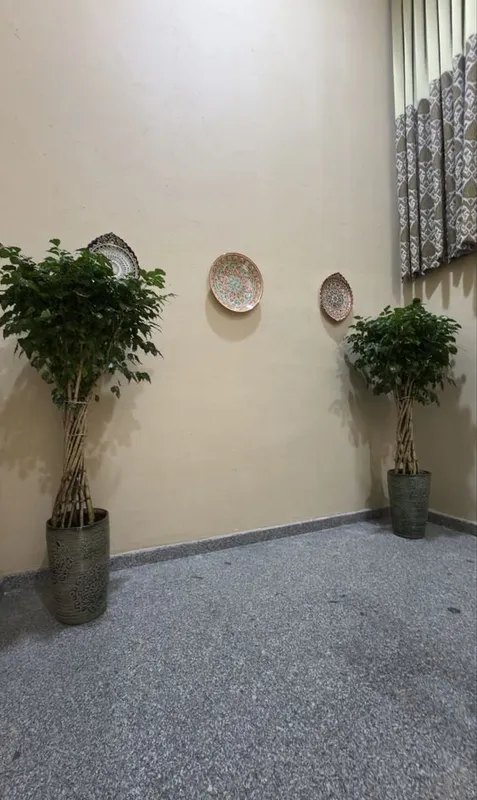 Офисные цветы, комнатные растения, живые цветы 3