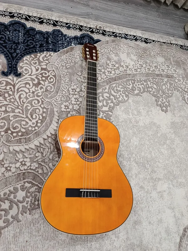Ibanez Classic Guitar — фото 6