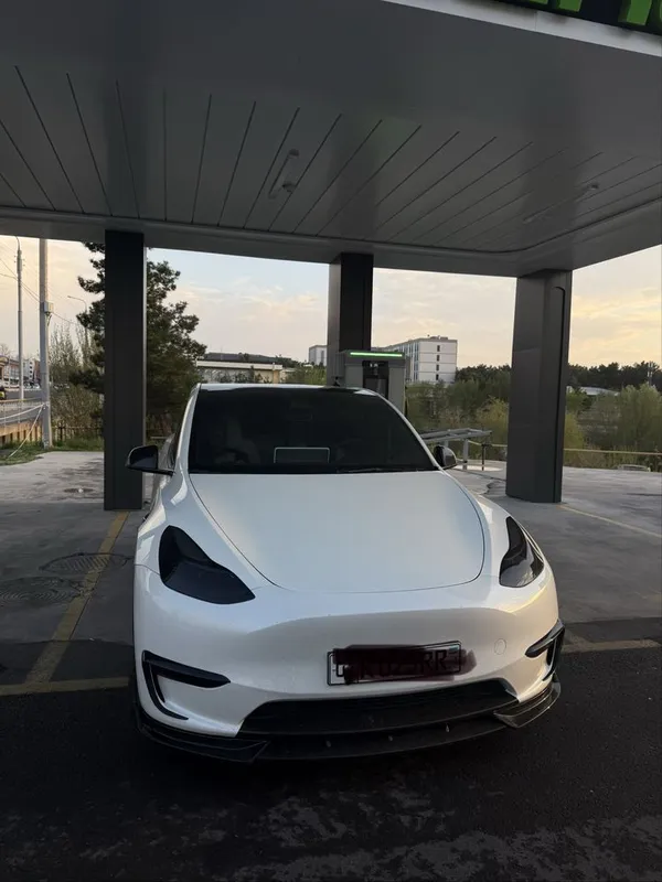 Tesla model Y Dual Longe Range — фото 3