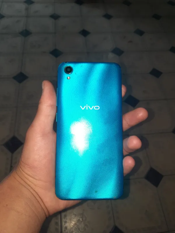 vivo 2015
