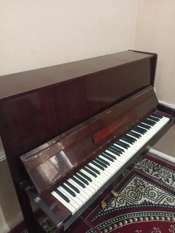 дружба fortapianosi — фото 2