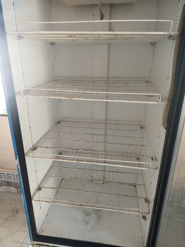 Vitrina muzlatgich rassiski xolati ideal — фото 5