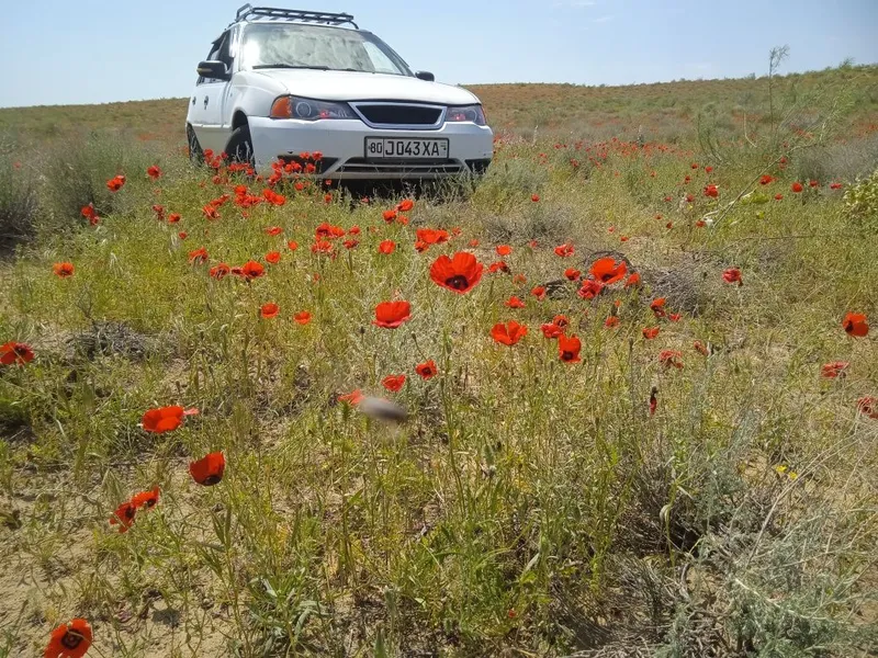 Nexia 1 xolati zoʻr 2