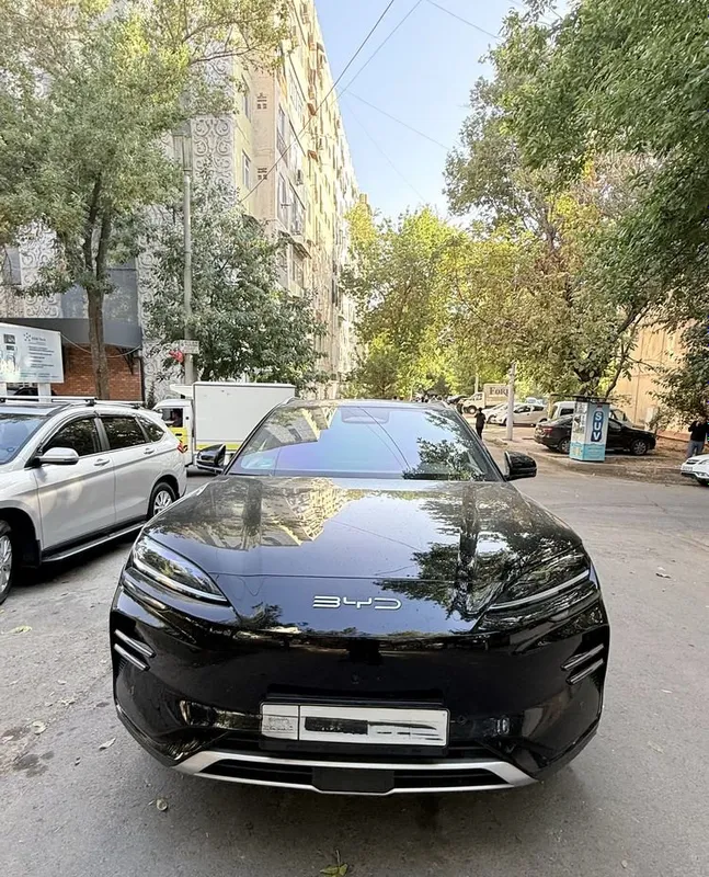 BYD Chempion Smart 1 BYD Chempion Smart 1