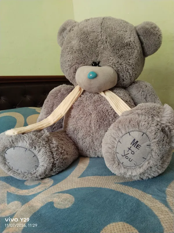 Teddy ayiq 2